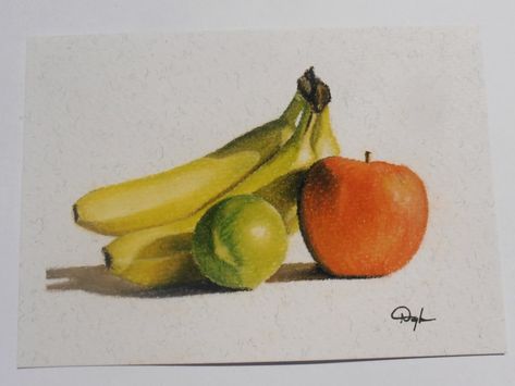 Still life study on paper using Pastel pencils from faber castell. Follow my Instagram for more Color Pencil Still Life, Pencil Still Life, Color Still Life, Still Life Study, Life Study, Life Drawing Reference, Nature Photography Flowers, Art Student, Object Drawing