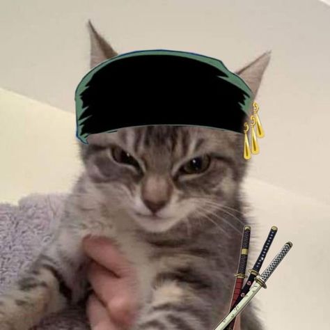 One Piece Profile Pic, One Piece Pfp Icon, Zoro One Piece Pfp, Zoro Cat, One Piece Profile, Pfp One Piece, Pfp Emo, Cool Pfps For Discord, One Piece Pfp