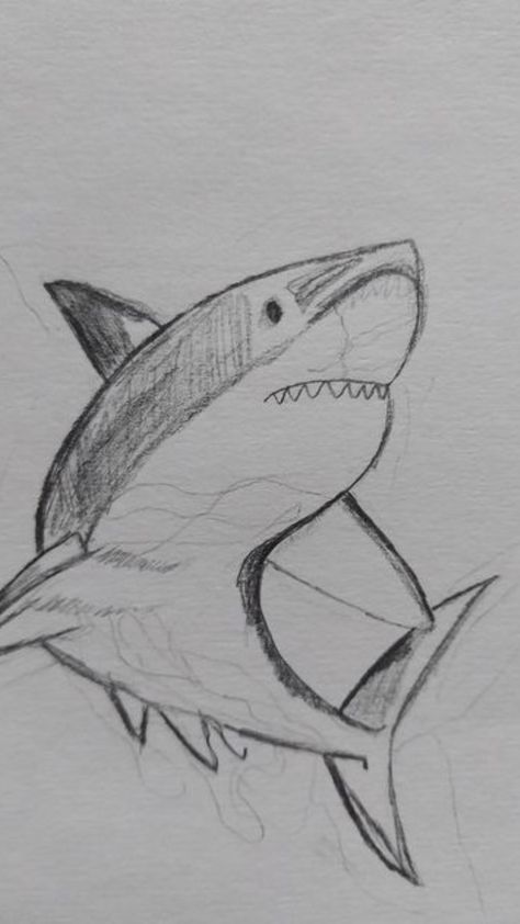 Sketches Sea Creatures, Aquatic Art Drawings, Aesthetic Shark Drawing, Cute Shark Sketch, Cute Aquatic Animals Drawings, Marine Animals Sketch, Ocean Animals Sketch, Shark Sketch Easy, Drawing Ideas Ocean Animals