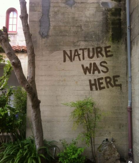 “Nature was here” spray painted on an abandoned building Seni Mural, Urbane Kunst, Protest Art, Amazing Animals, صور مضحكة, Street Art Graffiti, A Sign, Banksy, Graffiti Art