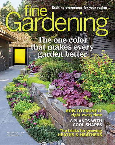 FineGardening - FineGardening Coraline's Dad, Plant Magazine, Full Sun Garden, Gardening Magazine, Fine Gardening Magazine, Beautiful Landscaping, Garden Magazine, Ground Covers, Winter Gardening