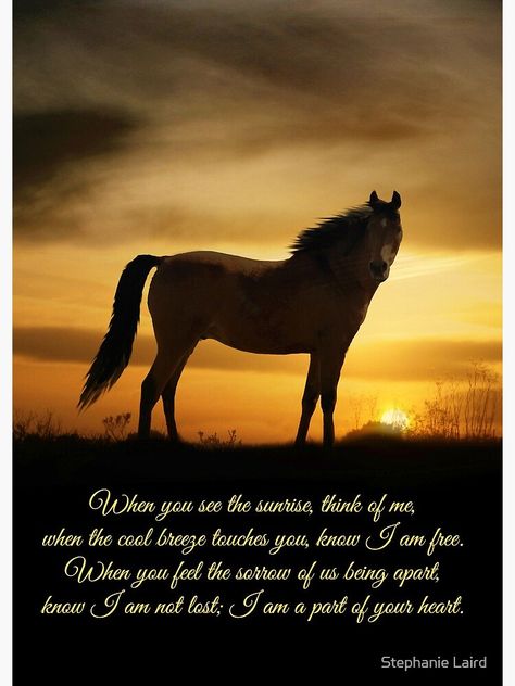 Horse Poems, Horse Memory, Spiritual Poems, Cowgirl Quote, Inspirational Horse Quotes, Horse Rearing, Equestrian Quotes, Love My Husband Quotes, Horse Memorial