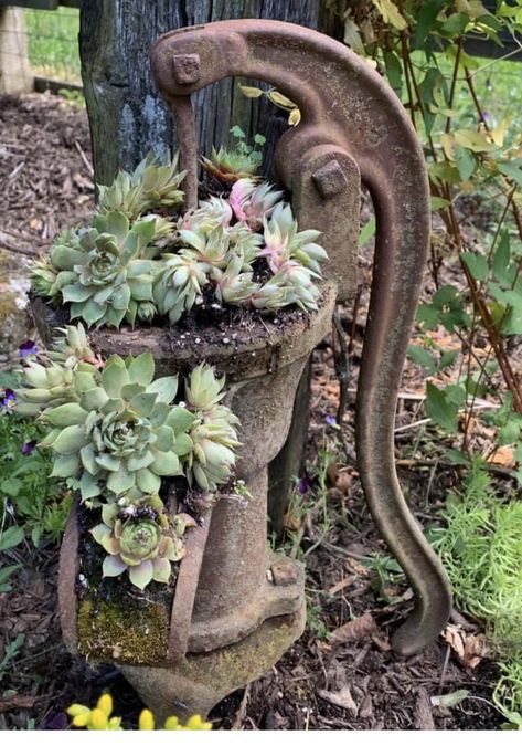 Succulent Garden Design, Succulent Garden Diy, Garden Junk, Garden Decor Projects, Vintage Garden Decor, Garden Containers, Garden Yard Ideas, Cactus Y Suculentas, Diy Garden Projects