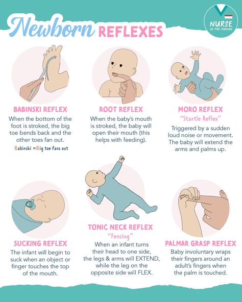 Newborn reflexes are involuntary... - Nurse In The Making | Facebook Reflexes Of Newborn, Newborn Reflexes Nursing, Apgar Score Newborns, Pediatrics Nursing Notes, Nicu Nurse Tips, Postpartum Nursing Notes, Antepartum Nursing, Mother Baby Nursing School, Maternity Nursing Study