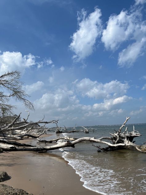 An amazing beach in Jacksonville, FL Florida Life, Jacksonville Beach, Jacksonville Fl, 2024 Vision, Beach Fun, Outer Banks, Banks, Vision Board, Surfing