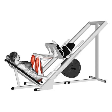 Leg Press Alternative, Leg Press Foot Placement, Leg Press Workout, Leg Machine Workout, Leg Workouts Gym, Leg Press Machine, Lower Body Muscles, Leg Machines, Quad Exercises