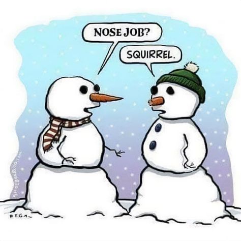 Snowman Jokes, Winter Jokes, Winter Humor, Snow Humor, Funny Snowman, Christmas Jokes, Christmas Memes, Nose Job, Holiday Humor