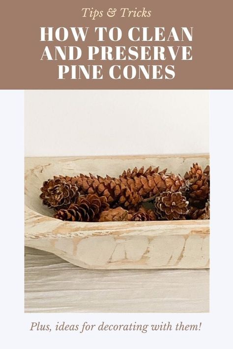 Gather some fallen pine cones from your yard, parks, or other wooded areas and learn how to clean and preserve the pine cones to use in wreaths, crafts, and home decorating in this easy tutorial. #kenarry #ideasforthehome Pine Cone Gnomes, Cone Gnomes, Wreaths Crafts, Friendsgiving Ideas, Fir Cones, Cone Crafts, Burlap Decor, Pinecone Ornaments, Cones Crafts