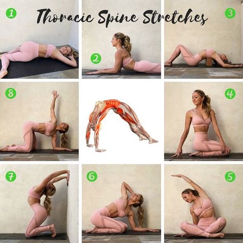 Today’s @getstretchy stretches are 8️⃣ super yummy Thoracic Spine Stretches!!  I’ve been covering backbends all of 2018 (so scroll back in… Ashtanga Vinyasa Yoga, Puppy Pose, Latihan Yoga, Yoga Beginners, Yoga Posen, Yoga Mindfulness, Yoga Moves, Iyengar Yoga, Yoga Exercises