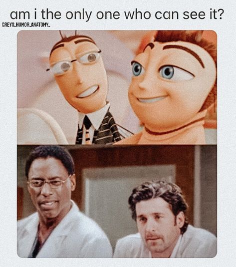 i cant unsee it now 😂 Greys Anatomy Bailey, The Bee Movie, Anatomy Memes, Grey's Anatomy Doctors, Greys Anatomy Funny, Anatomy Quotes, Greys Anatomy Characters, Greys Anatomy Memes, Greys Anatomy Cast