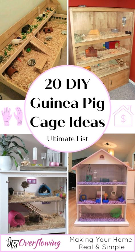 Guinea Pig Cage Idea Guinea Pig Cage Ideas, Indoor Guinea Pig Cage, Cavy Cage, Pig Habitat, 9gag Amusant, Guine Pig, Diy Guinea Pig Cage, Guinea Pig Diy, Guinea Pig Hutch