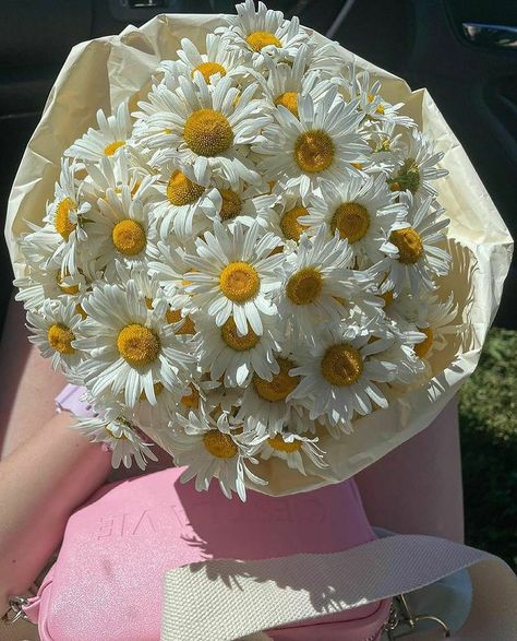 Daisy Flower Bouquet Aesthetic, Daisy Flower Bouquet, Daisies Bouquet, Bouquet Of Daisies, Pretty Flowers Pictures, Daisy Bouquet, Boquette Flowers, Nothing But Flowers, Flower Therapy