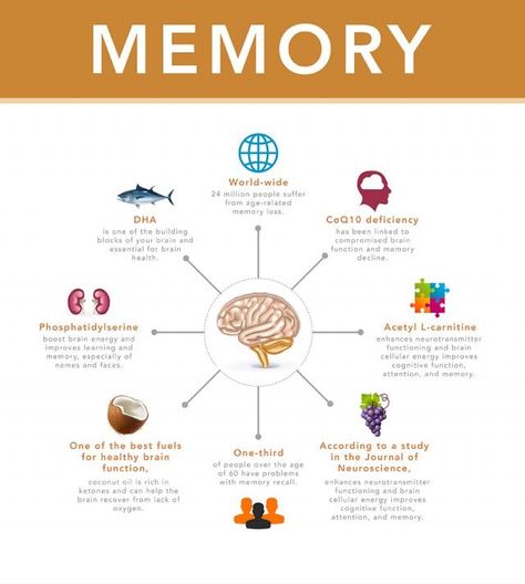 Academics & Problem-Solving: If you're applying to college or graduate period, you can accomplish mentality training break of your pre-test program. Tralatitious endeavour compound exclusive helps with the tests existence stolen, but allot mentality training can increase thought cognition for investigating and for your eventual thought of scrutiny. http://www.healthsupreviews.com/synagen-iq/ Applying To College, Iq Level, Improve Brain Power, Brain Energy, Brain Memory, My Memory, Nerve Cell, Mindfulness Exercises, You Deserve Better