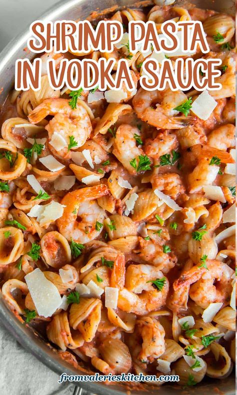 Shrimp Vodka Pasta Recipes, Vodka Pasta With Shrimp, Shrimp With Vodka Sauce, Shrimp Vodka Sauce Pasta, Vodka Shrimp Pasta, Scampi Sauce Recipe Easy, Shrimp Pasta Sauce, Vodka Penne Pasta, Orecchiette Pasta Recipes