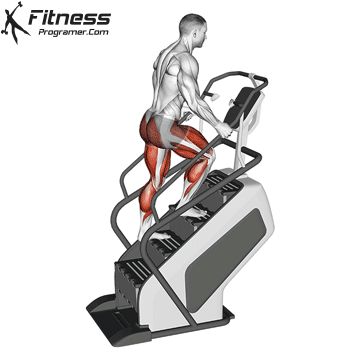 Stair Machine Workout, Back Workout Bodybuilding, Gym Exercises, Stair Climber, Fat Burning Workout Routine, Bicycle Crunches, Best Cardio Workout, Best Cardio, Hip Thrust