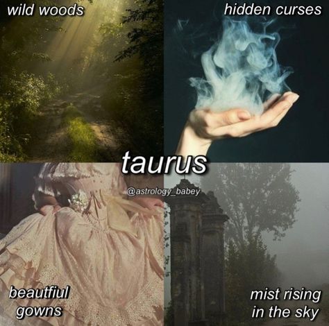 Taurus Journal, Taurus Wallpaper, Saturn In Taurus, Taurus Zodiac Quotes, Taurus Memes, Taurus Art, Taurus Zodiac Facts, Taurus Quotes, Astrology Taurus