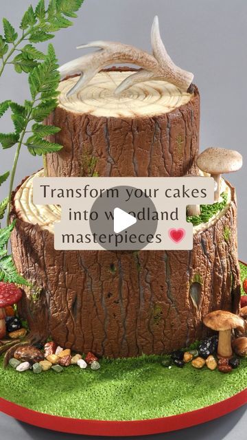 Tree Bark Cake Tutorial, Woodland Theme Cake, Slice Cake, Woodland Cake, Tree Slice, Decorating Videos, Tree Slices, Forest Cake, Cake Decorating Videos