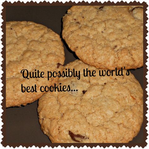 Best Ever Cookies Recipes, Best Ever Cookies, Bran Cookies, Worlds Best Cookies, Best Cookies In The World, Best Oatmeal Cookies, Best Cookies, Cookie Recipes Homemade, Recipes Cookies