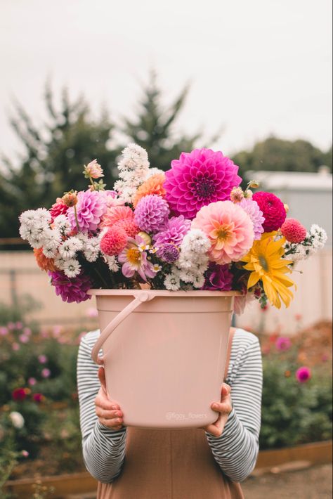 Farmer Market Photoshoot, Flower Farm Branding Photoshoot, Flower Farm Photography, Flower Farm Photoshoot Family, Flower Farm Photoshoot Ideas, Florist Pictures, Florist Branding Photoshoot, Flower Farm Photoshoot, Dahlia Flower Photography