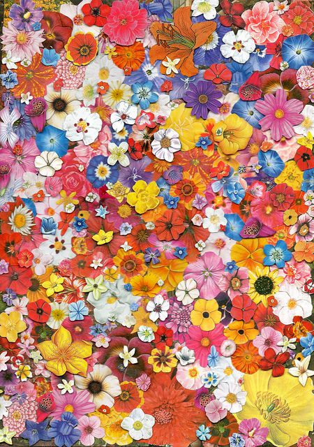 Lots and Lots of Flowers ~ artist Ben Giles #art #collage #color #mytumblr Crown Drawing, Flower Collage, Magazine Collage, Flower Prints Art, Retro Futuristic, Art And Illustration, Arte Floral, Art Portfolio, Of Wallpaper