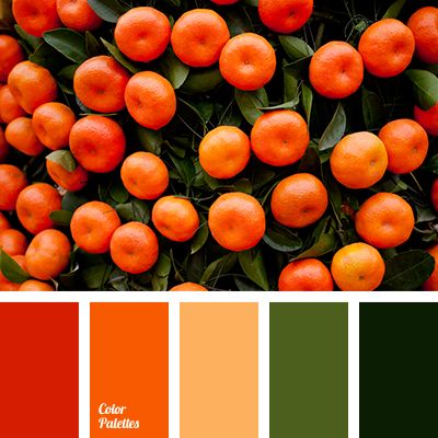 ◾Tangerine  Color ◾ Bright Orange, Dark Green, Green Shades, Olive Green, Orange, Red-Orange ◾{Choice Of Color For Interior Paint & Design - 2016} Juicy Color Palette, Kitchen Palette, In Color Balance, Color Palette Ideas, Dark Woods, Wall Living Room, Orange Color Palettes, Orange Grove, Color Composition