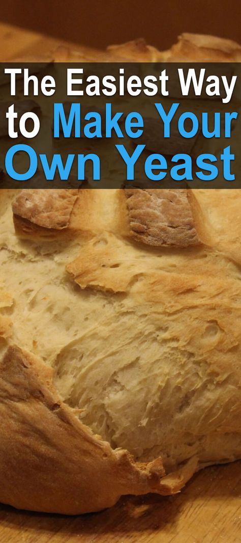 Homemade Yeast Free Bread, Quick Bread Without Yeast, Bread Maker Recipes No Yeast, Plain Quick Bread, Valerie Bertinelli Easy Milk Bread, How To Make Bread Without Yeast Easy, How To Make Bread No Yeast, Easy Yeast Free Bread Recipes, How To Make Yeast For Bread