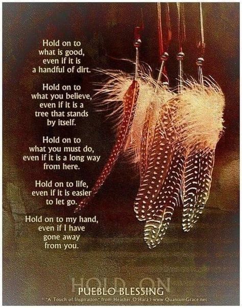 Native Wisdom, Native Quotes, American Indian Quotes, Empath Abilities, American Proverbs, Native American Prayers, Native American Proverb, Native American Spirituality, American Quotes