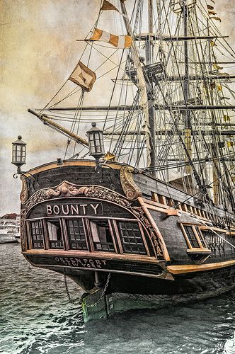 Tall Ships Festival- HMS Bounty | Many images including phot… | Flickr Hms Bounty, Navi A Vela, Old Sailing Ships, Ship Of The Line, Clipper Ship, Sailing Vessel, Wooden Ship, Yacht Boat, Tall Ships