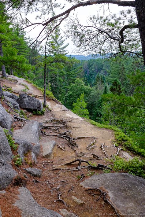 Algonquin Provincial Park | Peter Lam Photography Algonquin Provincial Park, Ontario Parks, Tandem Kayaking, Algonquin Park, Southern Ontario, Two Rivers, Park Photography, River Trail, Wild Adventures