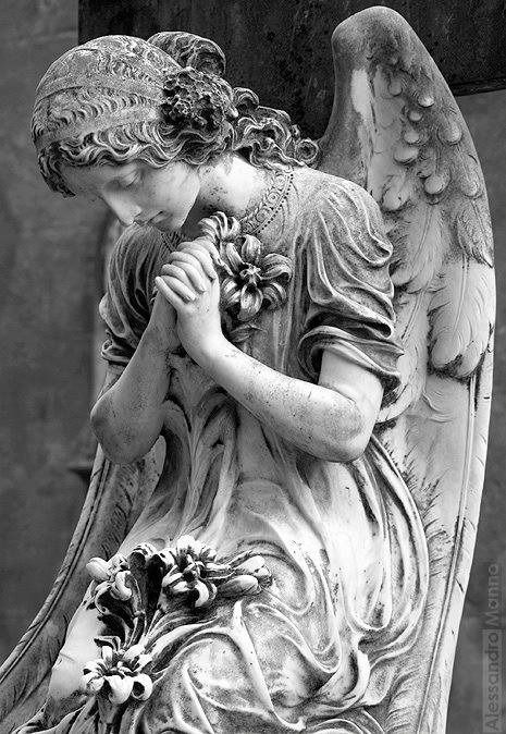 Angel Angel Sculpture Statues, Angle Statue, Angel Sculpture Art, Angel Statues Sculpture, Fantasy Angel, Cemetery Angels, Cemetery Statues, I Believe In Angels, Angel Statue