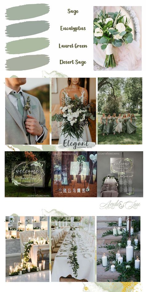 Sage Green Wedding Color Schemes, Olive Green Wedding Theme Color Schemes, Sage And Gold Wedding, Sage Green And Gold Wedding, Green Fall Weddings, Sage Green Wedding Theme, Acrylic Invites, Groom Colours, Sage Green Wedding Colors