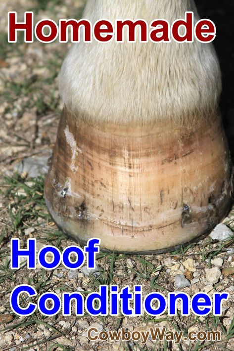 Diy Hoof Oil, Hoof Care For Horses, Horse Hoof Care, Horse Guide, Homemade Horse Treats, Horse Lessons, Horse Hoof, Healthy Horses, Diy Horse