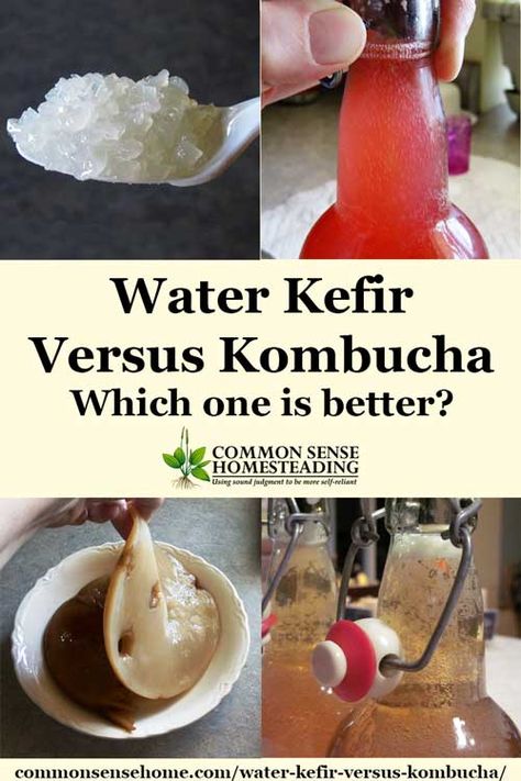 Homestead Apothecary, Fermented Beverages, Lacto Fermentation, Fermented Drinks, Healing Naturally, Cultured Food, Homemade Kombucha, Kombucha Recipe, Kefir Recipes