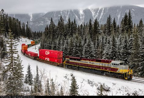 Muskoka Ontario, Cat Energy, Railroad Images, Canadian Pacific Railway, Mermaid Photos, Scenic Railroads, Southern Railways, Medicine Hat, Model Train Scenery