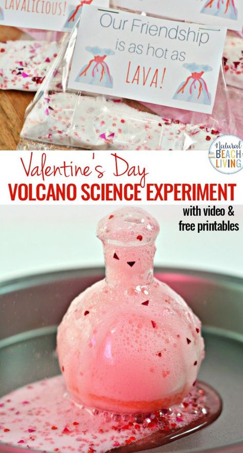 Science Experiment Preschool, Volcano Experiment For Kids, Experiment Preschool, Preschool Valentine Cards, Free Valentines Day Cards, Free Valentine Cards, Science Valentines, Preschool Valentine, Science Video