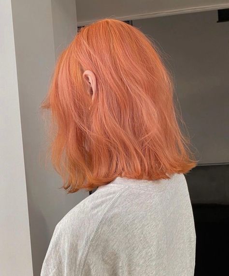 Pastel Ginger Hair, Soft Orange Hair Color, Silver Orange Hair, Pastel Red Hair Color, Soft Orange Hair, Pink Orange Hair Color, Warm Blue Hair, Blonde Roots Red Ends, Ash Orange Hair