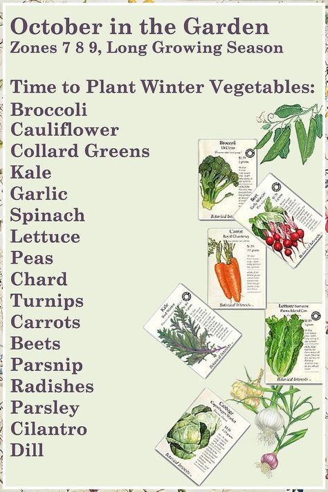 Planting In Winter - Never lose this opportunity to get what you need - buy NOW and have what you need and deserve! Kebun Herbal, Winter Vegetables Gardening, Tattoo Plant, Gardening Zones, Fall Vegetables, Fall Garden Vegetables, Winter Vegetables, Survival Gardening, Garden Veggies