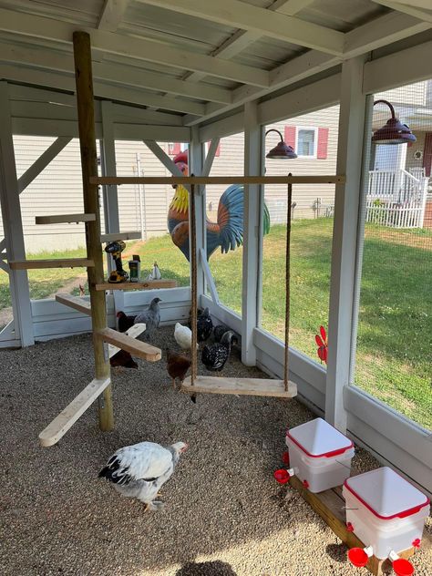 Chicken Gym Ideas, Chicken Outdoor Area, Rustic Chicken Coop Ideas, Chicken Coop Remodel, Chain Link Chicken Coop, Chicken Coop Inside Ideas, Inside Of Chicken Coop Ideas, Chicken Coop Ladder, Diy Ranch