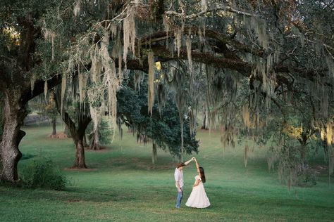 Spanish moss, nature’s lace. 🤍 Spanish Moss Wedding, Moss Wedding, Spanish Moss, Photo Shoot, Macrame, Wedding Inspiration, Photographer, Lace, Nature