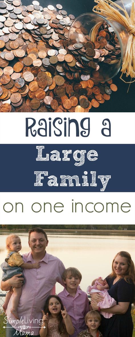 Raising a Large Family on One Income Large Family Organization, Large Families Living, One Income Family, Frugal Family, Living On A Budget, Family Budget, Family Finance, Budget Saving, Family Organizer