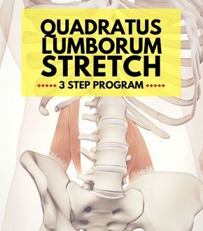 3 Step Quadratus Lumborum Stretch Program - What is a quadratus lumborum stretch and why it should be an important part of your training routine? Find out in this article: http://www.precisionmovement.coach/quadratus-lumborum-stretch-program/ @pmovementcoach #quadratuslumborumstretch #qlstretch #flexibilitytraining #spinemobility Quadratus Lumborum Stretch, Quadratus Lumborum, Psoas Release, Flexibility Training, Psoas Muscle, Mobility Exercises, Back Pain Exercises, Yoga Stretches, Yoga Sequences