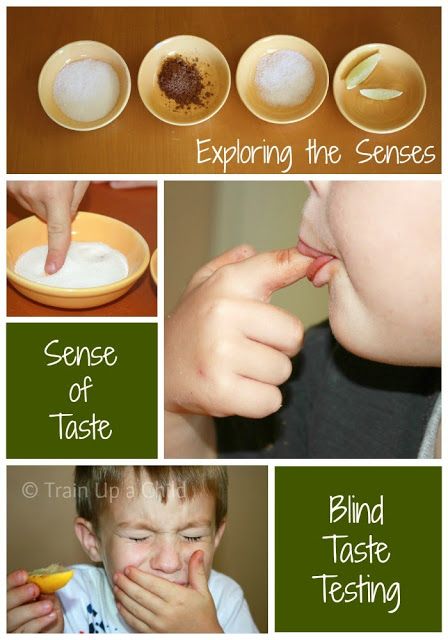 A simple game to explore the sense of taste - exploring sweet, bitter, salty and sour. My 5 Senses, 5 Senses Preschool, Ece Activities, Thema Fruit, Five Senses Preschool, Aktiviti Tadika, 5 Senses Activities, Fun Kids Activities, Senses Preschool