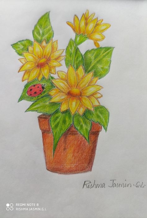 Pencil colouring Flower Pot Drawing With Colour, Flower Pot Drawing, Pencil Colouring, Pot Drawing, Oil Pastel Drawings Easy, Colour Pencil, Oil Pastel Drawings, Drawing Book, Color Pencil Drawing