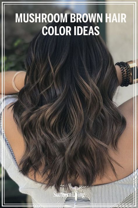 Medium Brunette With Lowlights, Black Hair With Mushroom Brown Highlights, Lowlights In Brown Hair Brunettes, Brunette Smokey Balayage, Dark With Babylights, Deep Mushroom Brown Hair Color, Dark Brown To Mushroom Brown Hair, Mushroom Ash Brown Hair Balayage Formula, Mushroom Brown Dimensional Hair