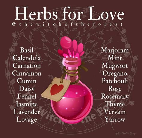 Herbs For Love, Herbs For Protection, Essential Oil Aphrodisiac, Magick Oil, Candle Magic Spells, Easy Love Spells, Magickal Herbs, Witch Herbs, Herbal Elixir