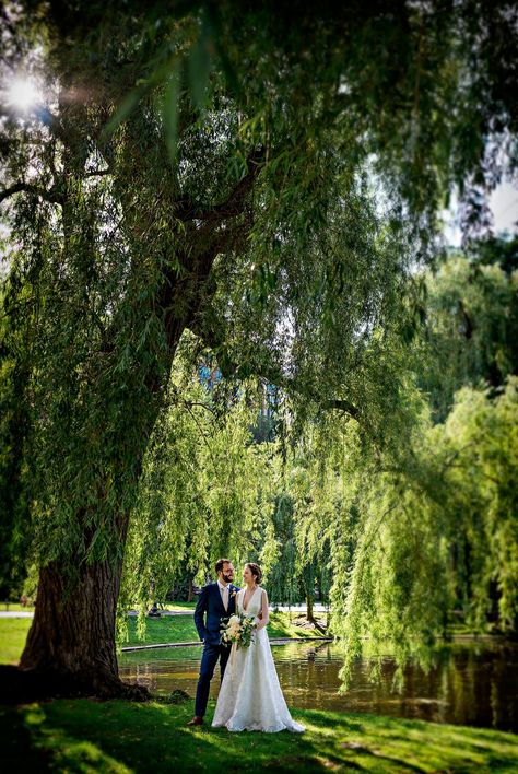 Boston Public Garden Wedding Photos © Snap Weddings Mock Wedding Shoot Photo Ideas, Engagement Photos Boston Public Garden, Boston Public Garden Wedding, Wedding Photo Ideas Garden, Boston Common Engagement Photos, Garden Wedding Pictures, Boston Wedding Photos, Wedding Photos Garden, Halifax Public Gardens