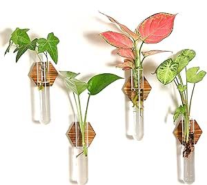 Propogating Plants, Glass Propagation, Hanging Glass Planters, Plant Propagation Station, Hanging Glass Terrarium, Wellness Room, Propagation Station, Terrarium Containers, Plant Terrarium