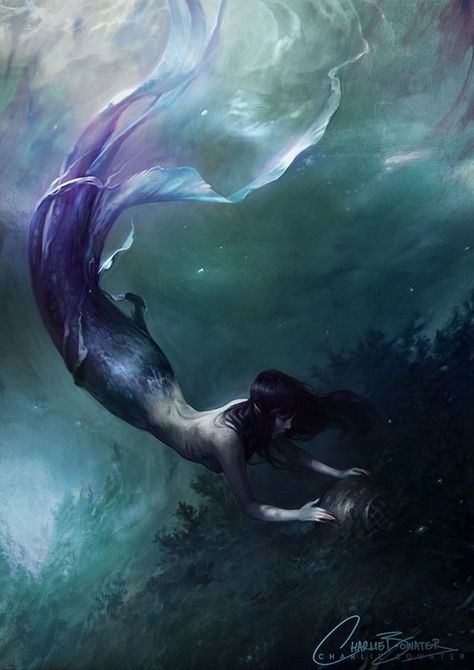 Mermaid Tail Idea Charlie Bowater, Mermaid Swimming, Mermaid Painting, Art Tumblr, Mirror Reflection, Mermaids And Mermen, Mermaid Life, Beautiful Mermaids, Art Video