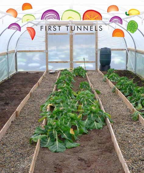 flowerbeds in a polytunnel Flower Tunnel, Garden Tunnel, Bed Layout, Fruit Cage, Diy Greenhouse Plans, Veg Patch, Backyard Garden Landscape, Backyard Greenhouse, Greenhouse Plans