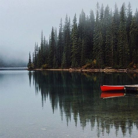 #beach #camping #boating #canoeing #kayaking #lakelife #fishing #onthewater Maine Aesthetic, Acadia National Park Camping, Northern Maine, Canoe Camping, Camping Aesthetic, Senior Trip, Winter Camping, Camping Trip, Say Yes